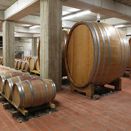Poderi Firenze Vendégház Cinigiano Kültér fotó