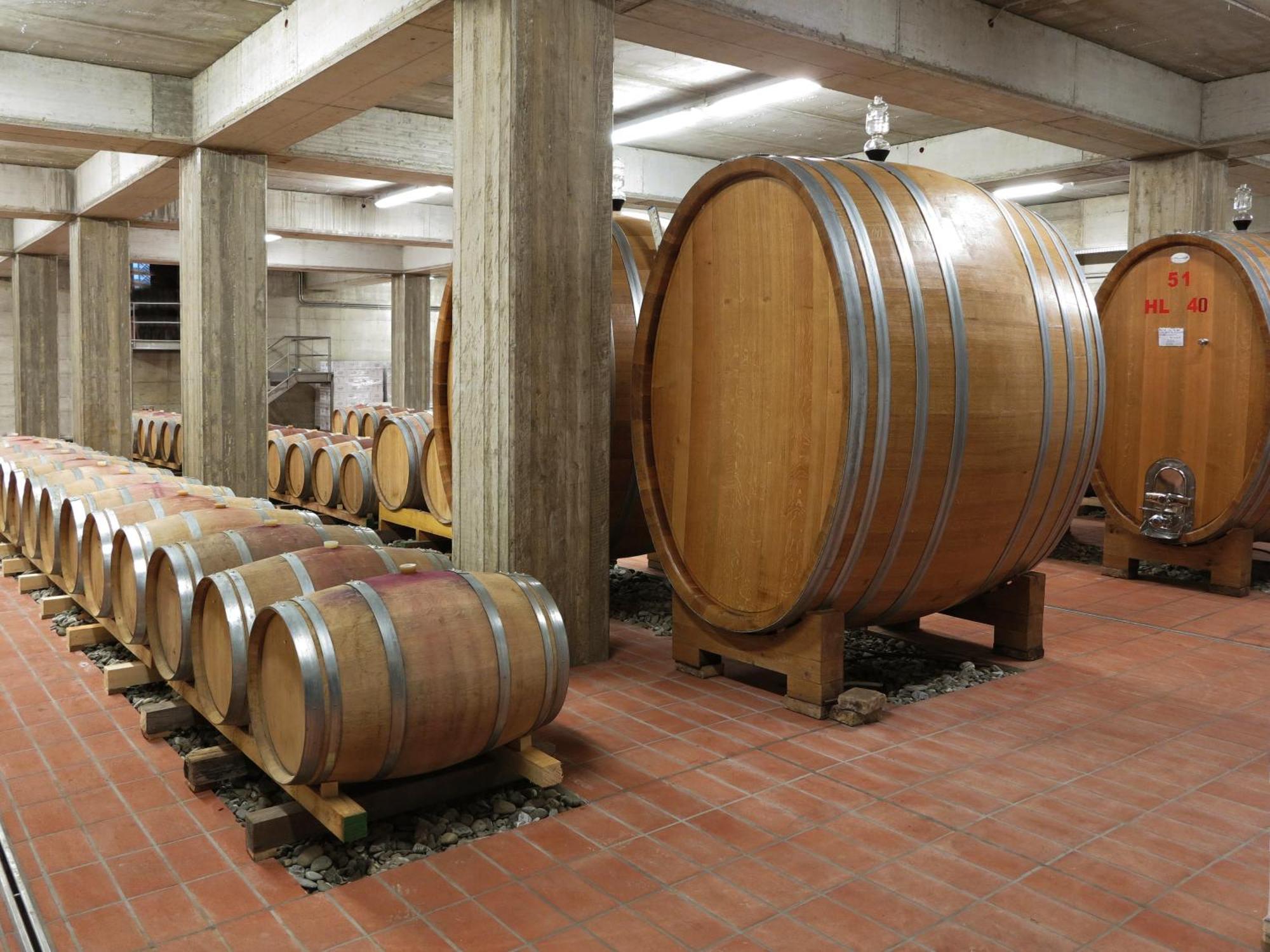 Poderi Firenze Vendégház Cinigiano Kültér fotó
