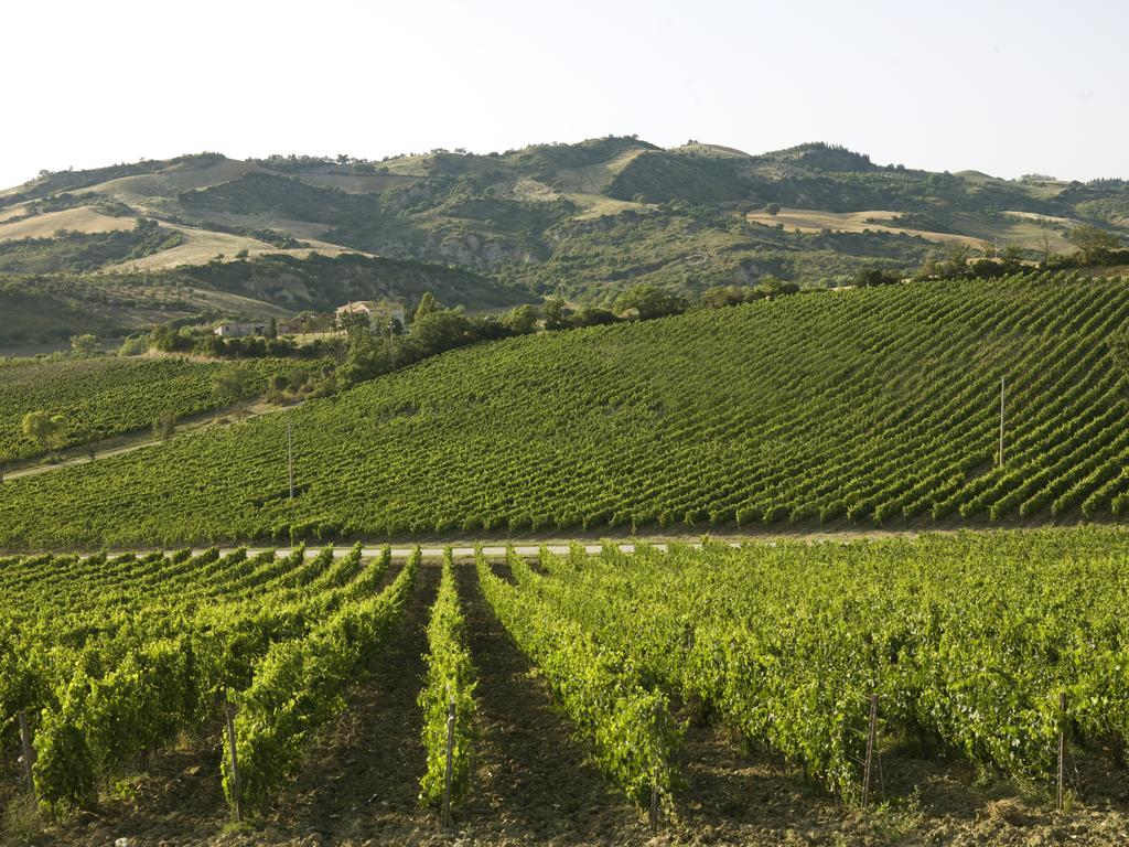 Poderi Firenze Vendégház Cinigiano Kültér fotó